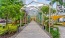 a walkway between palm trees