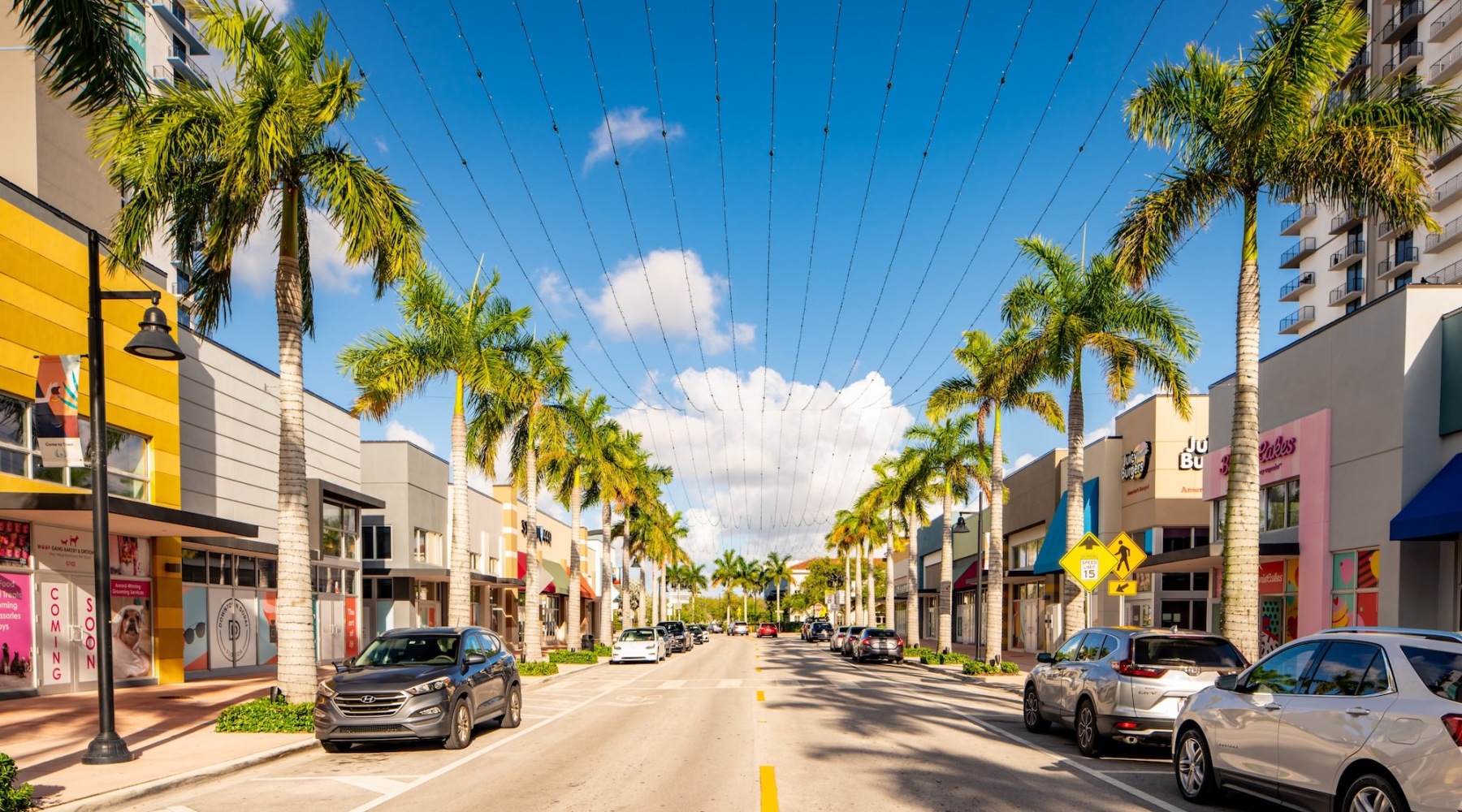 a street with cars parked on the sides of it palm trees and overhead lighting