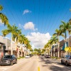 a street with cars parked on the sides of it palm trees and overhead lighting
